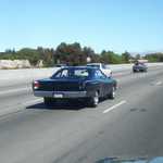 My roadrunner comes home. 021