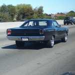 My roadrunner comes home. 022