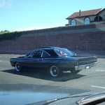 My roadrunner comes home. 024