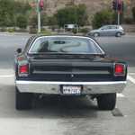 My roadrunner comes home. 027