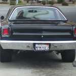 My roadrunner comes home. 028