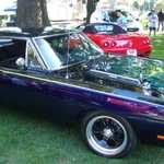 Cars in the Park 2007 016