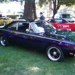 Cars in the Park 2007 017