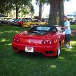 Cars in the Park 2007 018