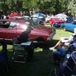 Cars in the Park 2007 019