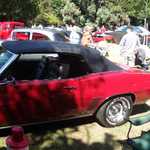 Cars in the Park 2007 041