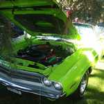 Cars in the Park 2007 062