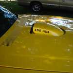 Cars in the Park 2007 089