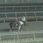 Horse racing 005