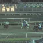 Horse racing 006