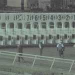 Horse racing 011