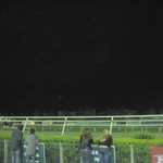 Horse racing 014