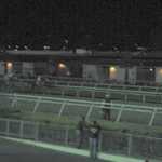 Horse racing 015