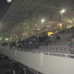 Horse racing 017