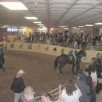 Horse racing 018