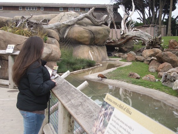 SF Zoo 2007 002