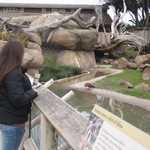 SF Zoo 2007 002