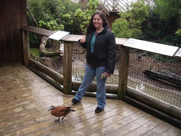 SF Zoo 2007 007