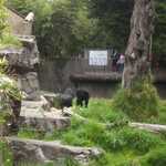 SF Zoo 2007 011