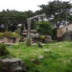 SF Zoo 2007 018