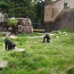 SF Zoo 2007 021