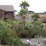 SF Zoo 2007 033