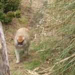 SF Zoo 2007 037
