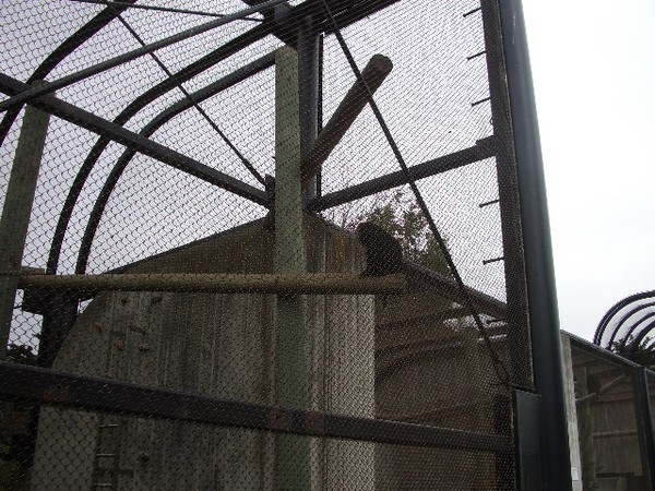 SF Zoo 2007 042