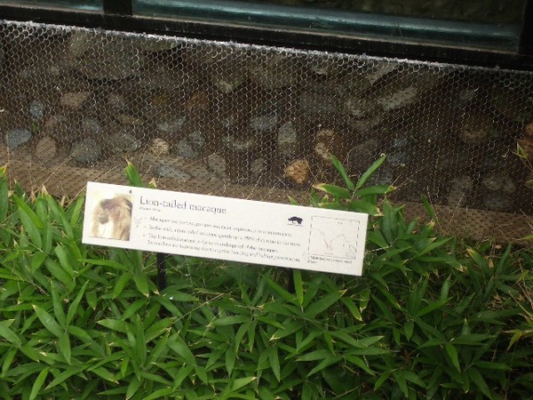 SF Zoo 2007 043