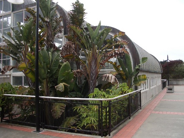 SF Zoo 2007 047