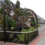 SF Zoo 2007 047
