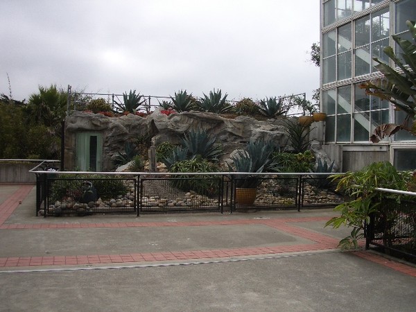 SF Zoo 2007 048