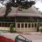 SF Zoo 2007 052