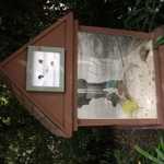 SF Zoo 2007 071