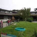 SF Zoo 2007 082