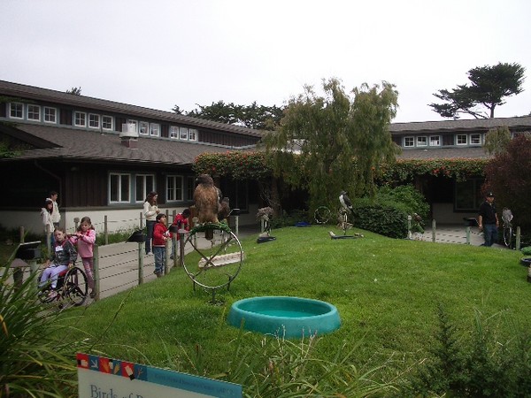 SF Zoo 2007 082