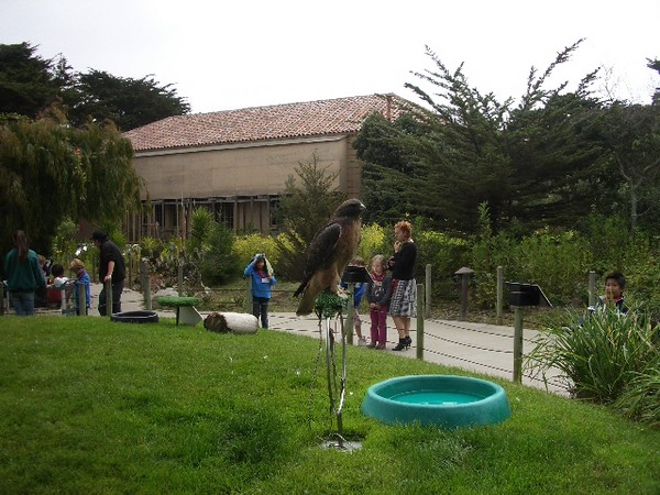 SF Zoo 2007 086