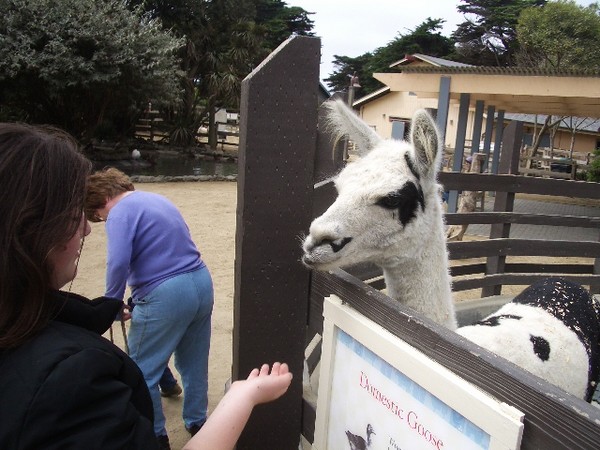 SF Zoo 2007 091