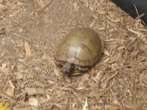 SF Zoo 2007 102