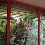 SF Zoo 2007 107