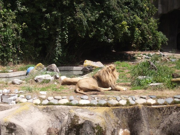 SF Zoo 2007 123