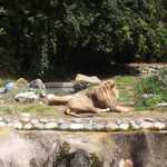 SF Zoo 2007 123