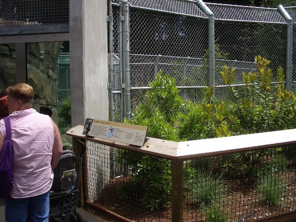 SF Zoo 2007 128
