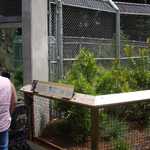 SF Zoo 2007 128