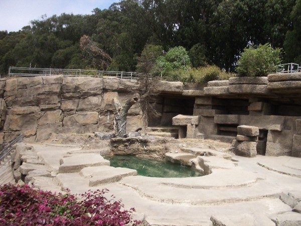 SF Zoo 2007 129