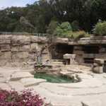 SF Zoo 2007 129