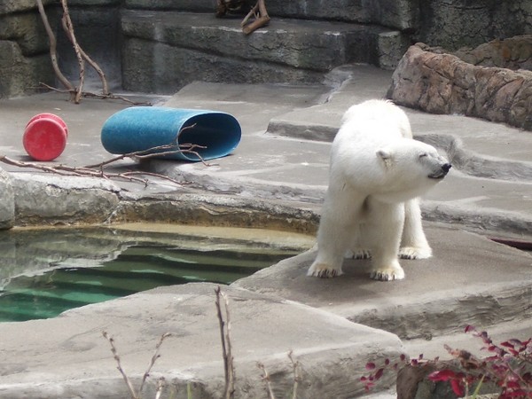 SF Zoo 2007 134