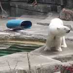 SF Zoo 2007 134