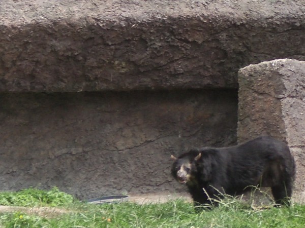 SF Zoo 2007 135