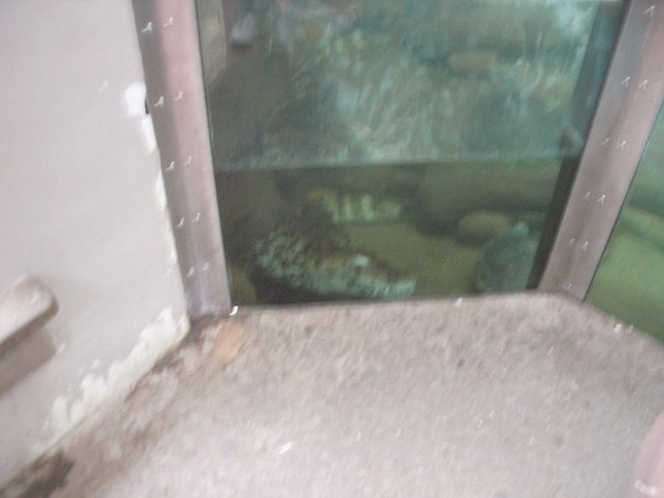 SF Zoo 2007 137